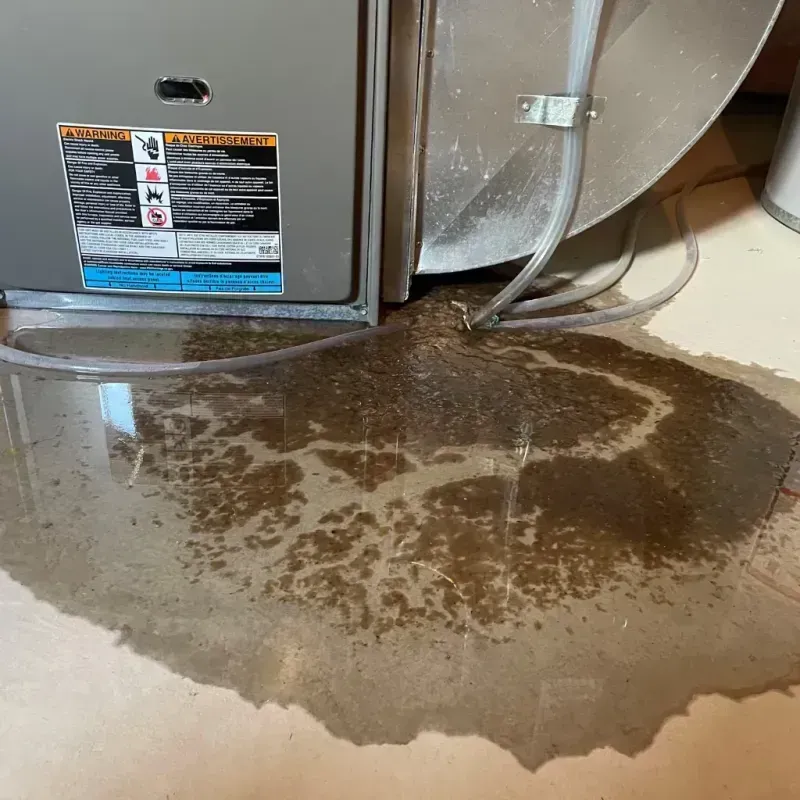 Appliance Leak Cleanup in Warren County, IN